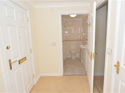 Picture 11